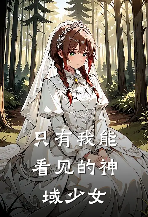 只有我能看见的神域少女
